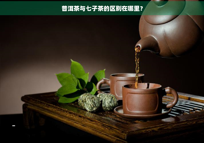 普洱茶与七子茶的区别在哪里？