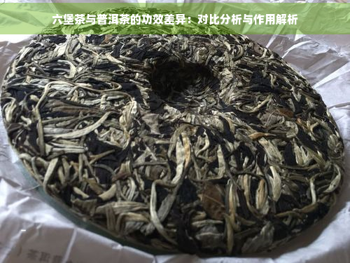 六堡茶与普洱茶的功效差异：对比分析与作用解析