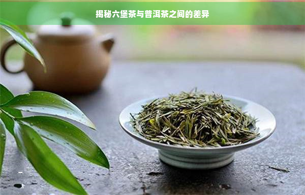 揭秘六堡茶与普洱茶之间的差异