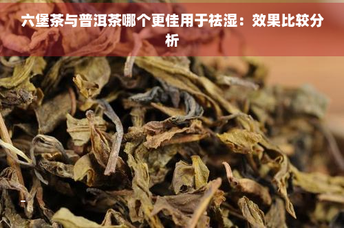 六堡茶与普洱茶哪个更佳用于祛湿：效果比较分析