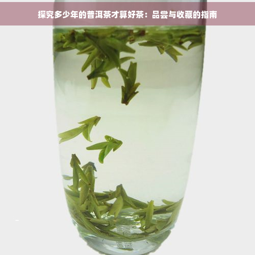 探究多少年的普洱茶才算好茶：品尝与收藏的指南