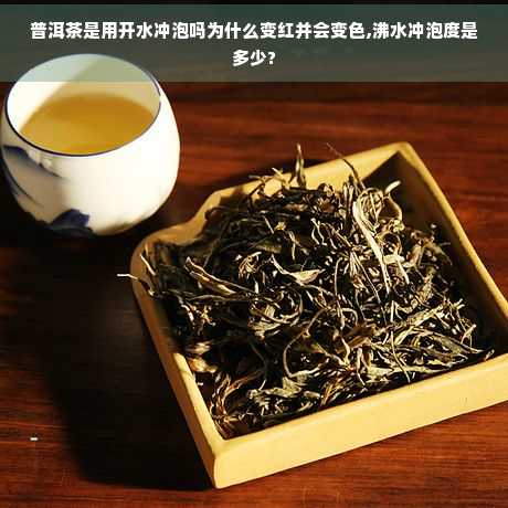 普洱茶是用开水冲泡吗为什么变红并会变色,沸水冲泡度是多少?