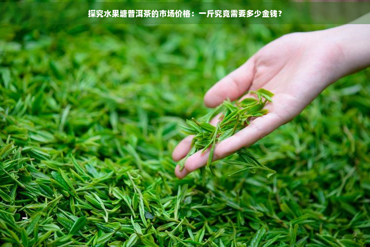 探究水果塘普洱茶的市场价格：一斤究竟需要多少金钱？