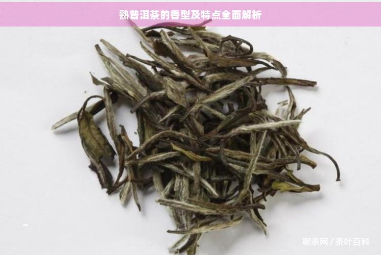 熟普洱茶的香型及特点全面解析