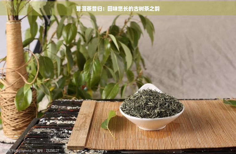 普洱茶昔归：回味悠长的古树茶之韵