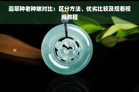 翡翠种老种嫩对比：区分方法、优劣比较及观看视频教程