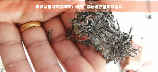 半发酵普洱茶的功效：作用、禁忌与熟普洱茶区别