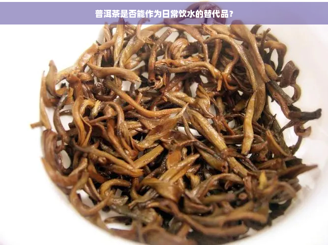 普洱茶是否能作为日常饮水的替代品？