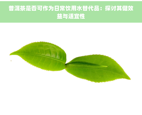 普洱茶是否可作为日常饮用水替代品：探讨其健效益与适宜性