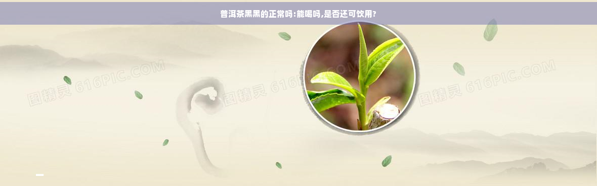 普洱茶黑黑的正常吗:能喝吗,是否还可饮用?