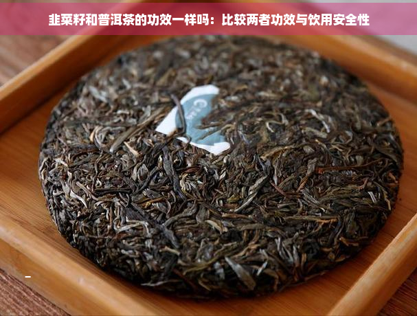 韭菜籽和普洱茶的功效一样吗：比较两者功效与饮用安全性