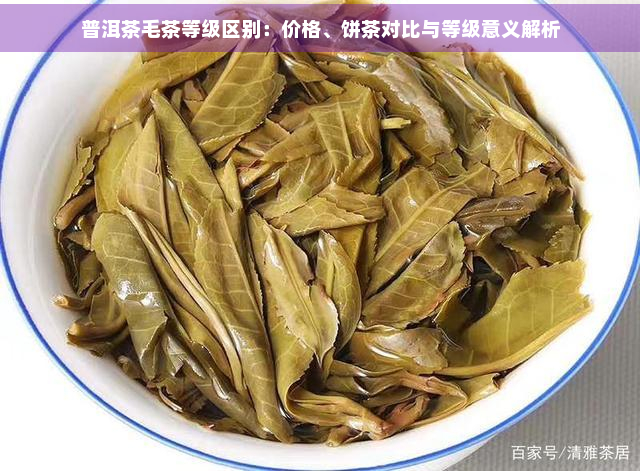 普洱茶毛茶等级区别：价格、饼茶对比与等级意义解析