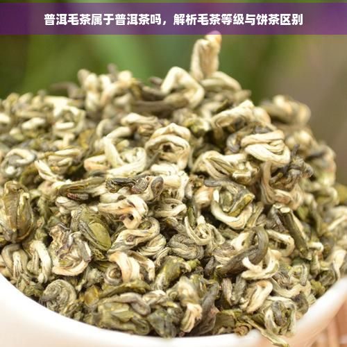 普洱毛茶属于普洱茶吗，解析毛茶等级与饼茶区别