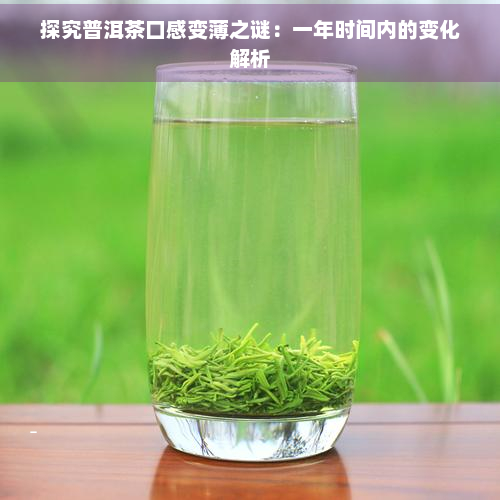 探究普洱茶口感变薄之谜：一年时间内的变化解析