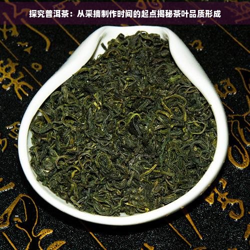 探究普洱茶：从采摘制作时间的起点揭秘茶叶品质形成