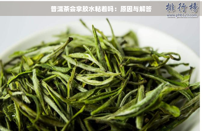 普洱茶会拿胶水粘着吗：原因与解答