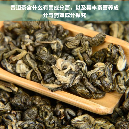 普洱茶含什么有害成分高，以及其丰富营养成分与效成分探究