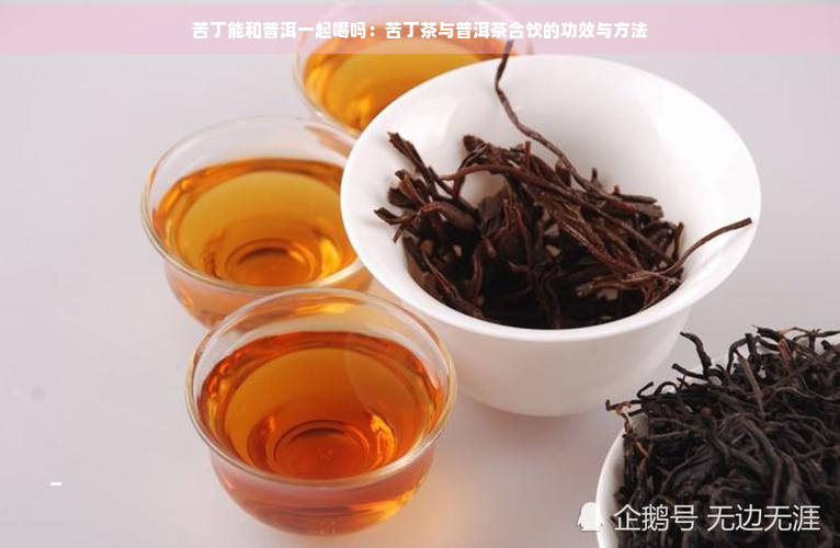 苦丁能和普洱一起喝吗：苦丁茶与普洱茶合饮的功效与方法