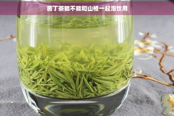 苦丁茶能不能和山楂一起泡饮用