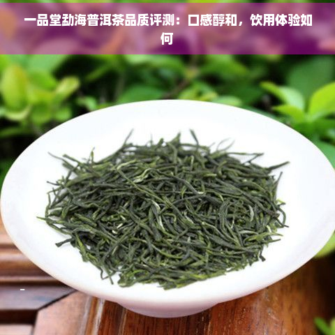 一品堂勐海普洱茶品质评测：口感醇和，饮用体验如何