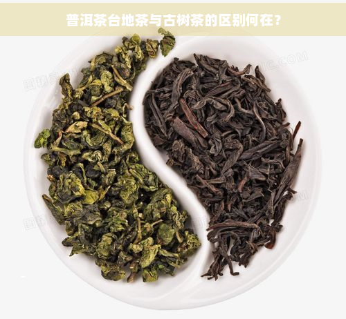 普洱茶台地茶与古树茶的区别何在？