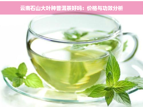 云南石山大叶种普洱茶好吗：价格与功效分析