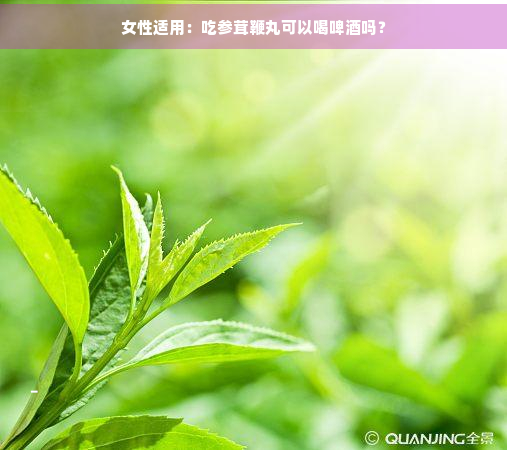 女性适用：吃参茸鞭丸可以喝啤吗？