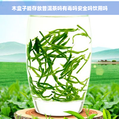 木盒子能存放普洱茶吗有吗安全吗饮用吗