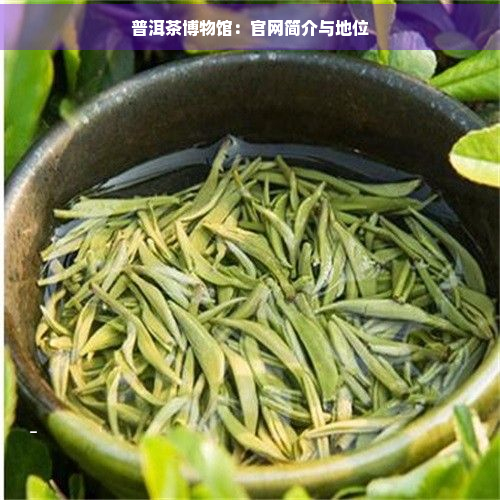 普洱茶博物馆：官网简介与地位