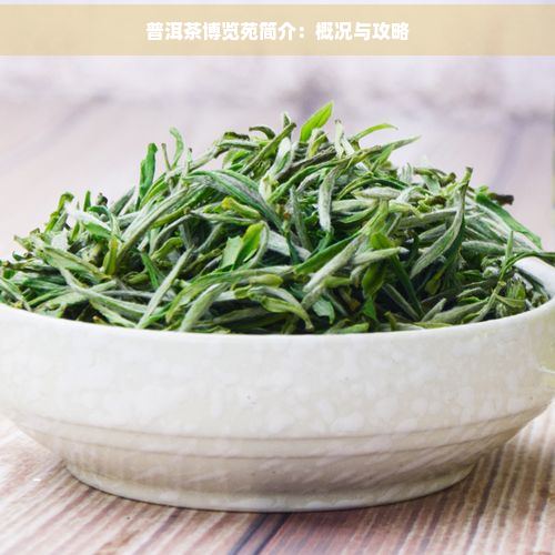 普洱茶博览苑简介：概况与攻略