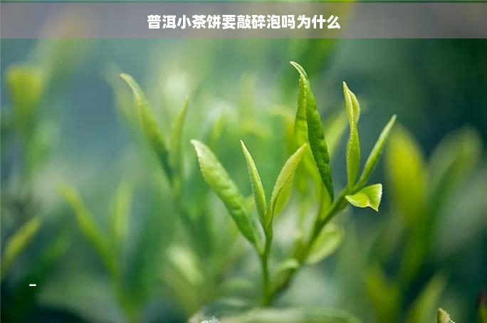 普洱小茶饼要敲碎泡吗为什么