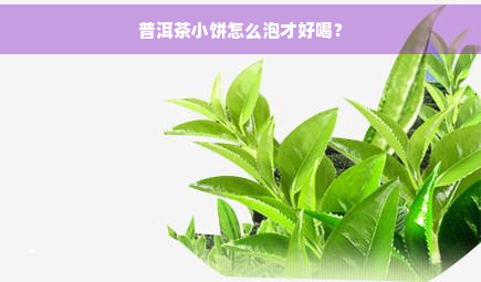 普洱茶小饼怎么泡才好喝？