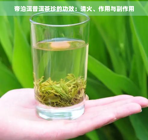 帝泊洱普洱茶珍的功效：清火、作用与副作用