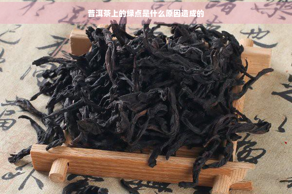 普洱茶上的绿点是什么原因造成的