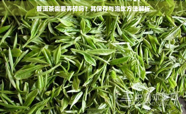 普洱茶需要弄碎吗？其保存与泡饮方法解析