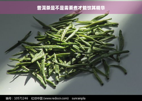 普洱茶是不是需要煮才能饮其精华