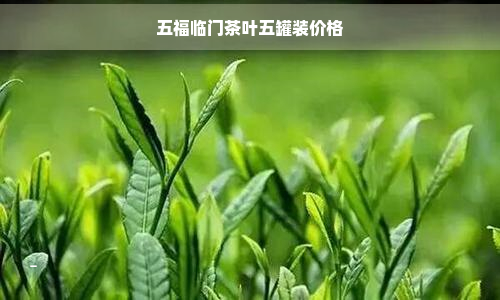 五福临门茶叶五罐装价格