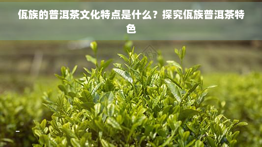 佤族的普洱茶文化特点是什么？探究佤族普洱茶特色