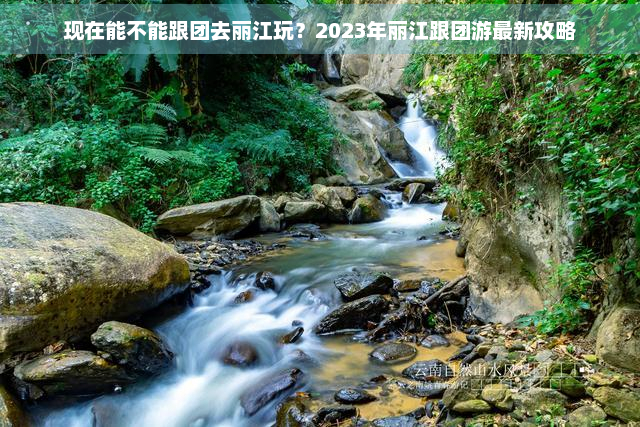 现在能不能跟团去丽江玩？2023年丽江跟团游最新攻略