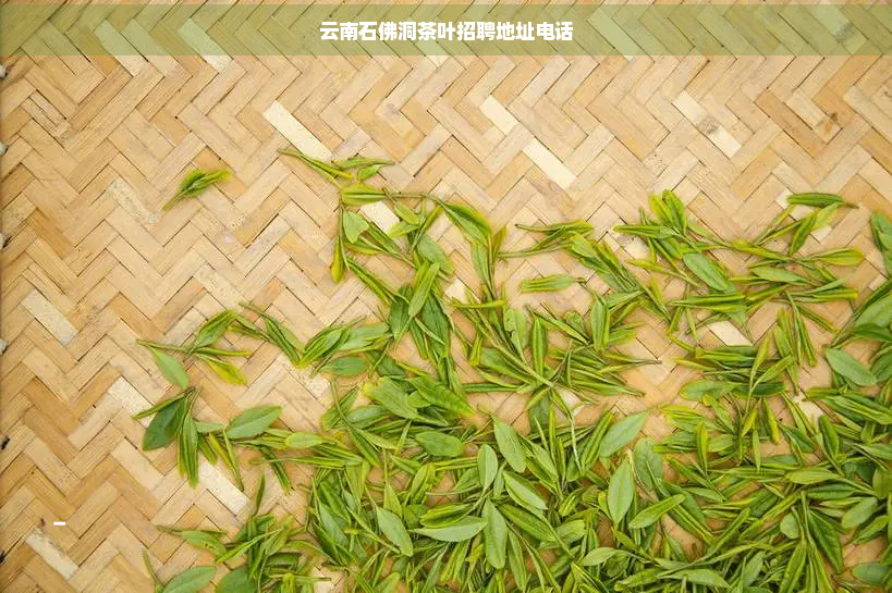 云南石佛洞茶叶招聘地址电话