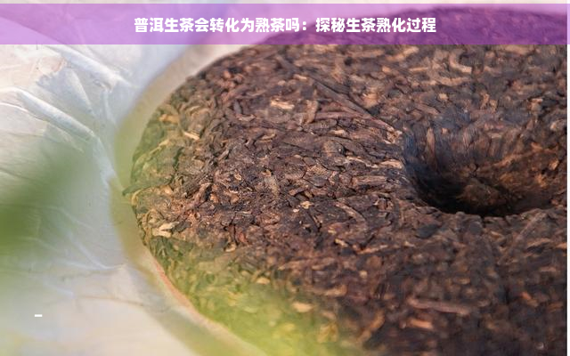 普洱生茶会转化为熟茶吗：探秘生茶熟化过程