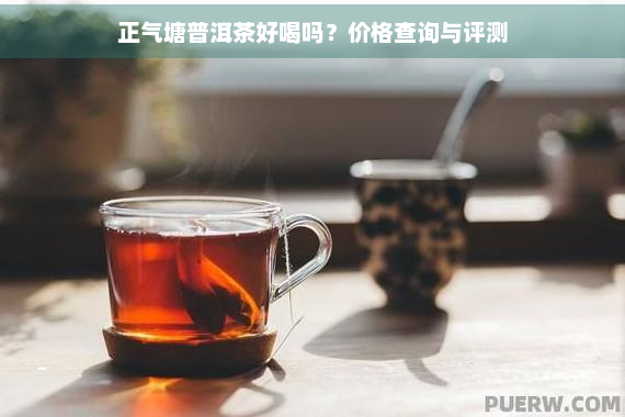 正气塘普洱茶好喝吗？价格查询与评测