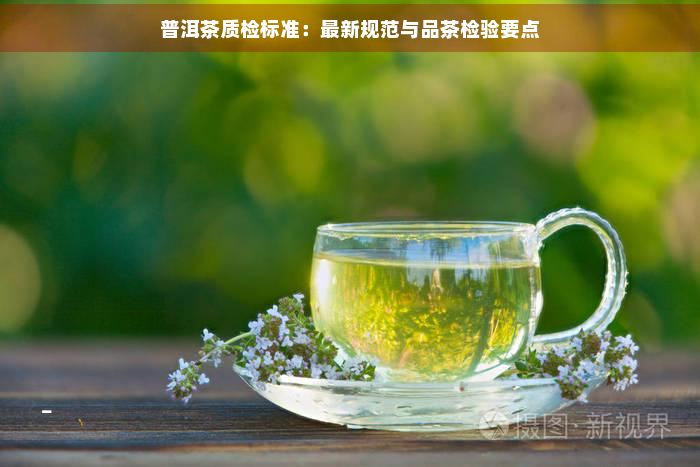 普洱茶质检标准：最新规范与品茶检验要点