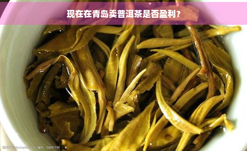 现在在青岛卖普洱茶是否盈利？