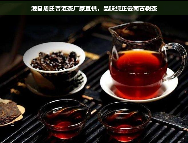 源自周氏普洱茶厂家直供，品味纯正云南古树茶