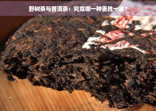 野树茶与普洱茶：究竟哪一种更胜一筹？