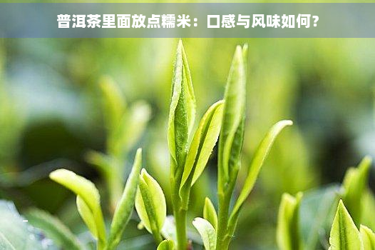 普洱茶里面放点糯米：口感与风味如何？