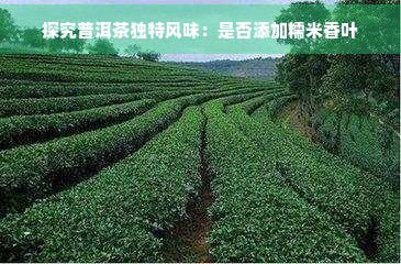 探究普洱茶独特风味：是否添加糯米香叶