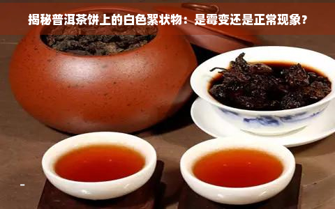 揭秘普洱茶饼上的白色絮状物：是霉变还是正常现象？