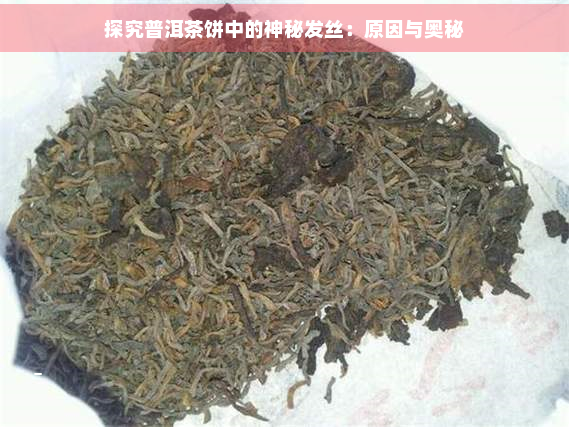 探究普洱茶饼中的神秘发丝：原因与奥秘